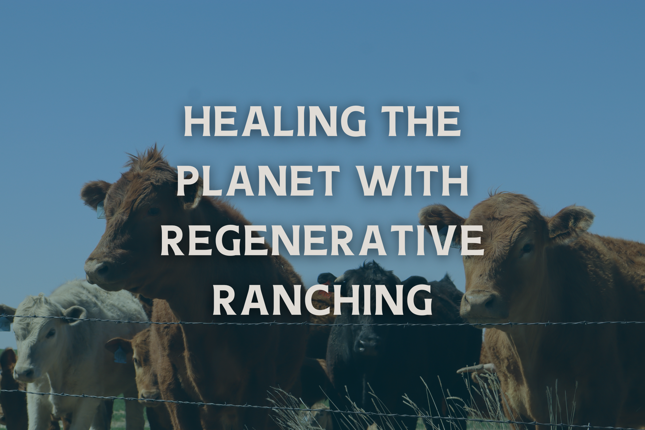 Healing the Planet With Regenerative Ranching Practices