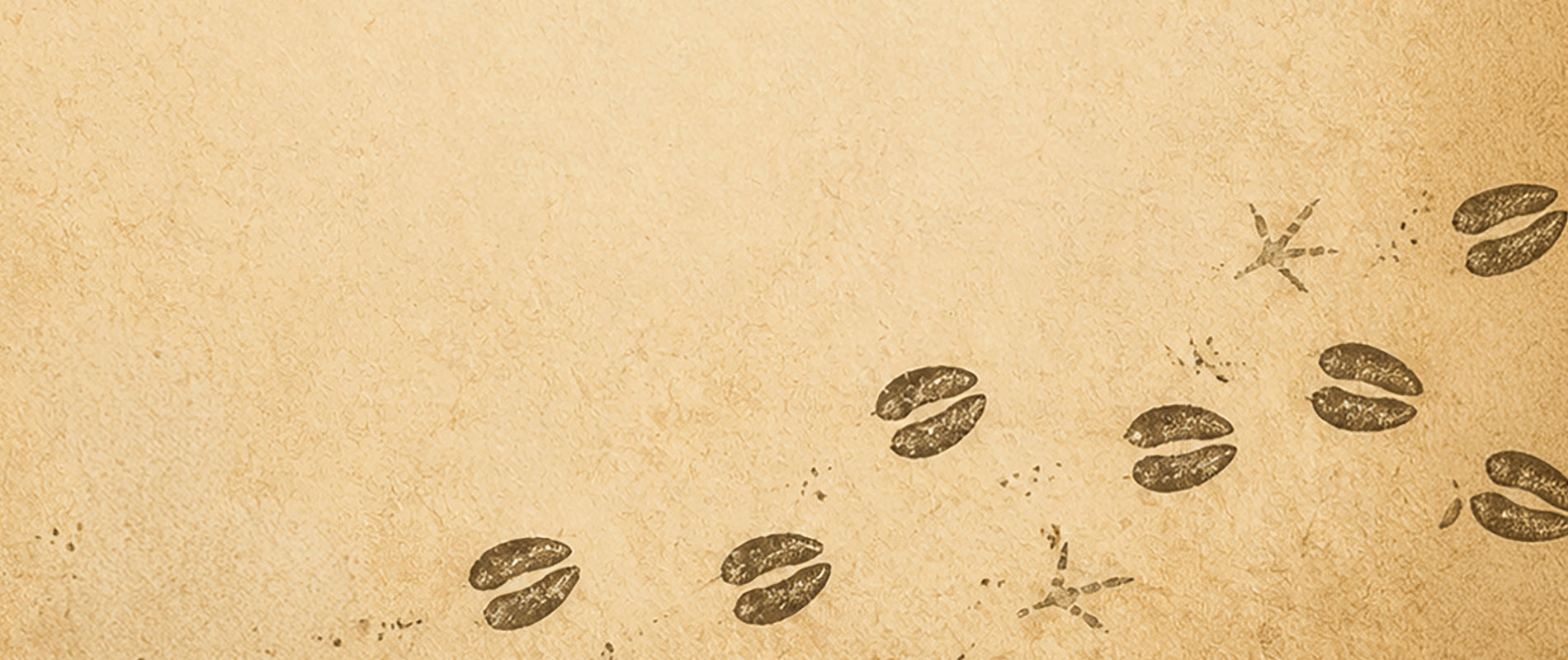 brown paper texture with accomplice footprint pattern across