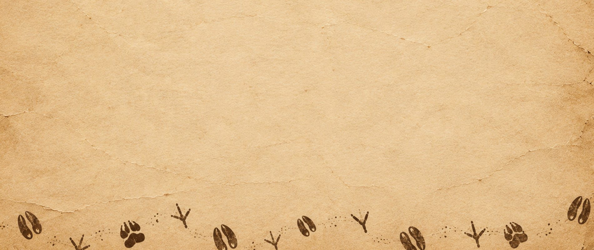 brown paper texture with accomplice footprint pattern along the bottom
