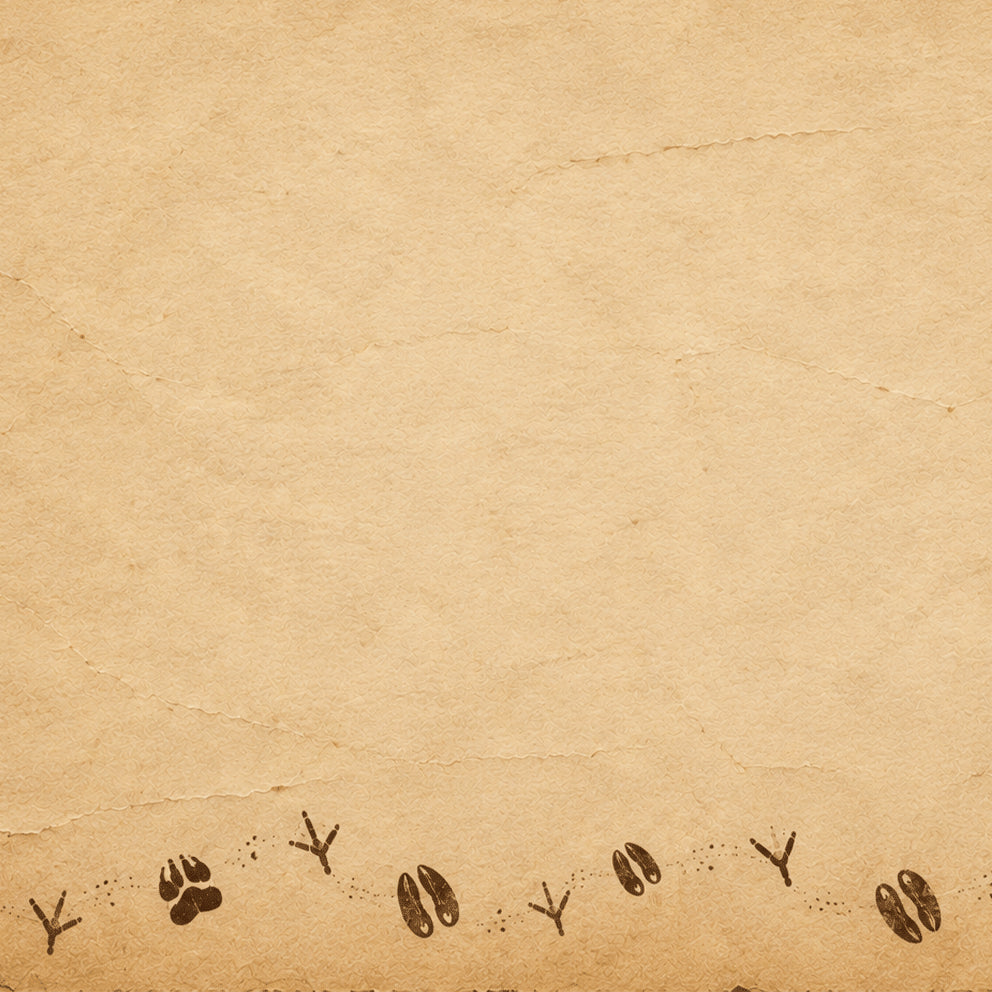 brown paper texture with accomplice footprint pattern along the bottom